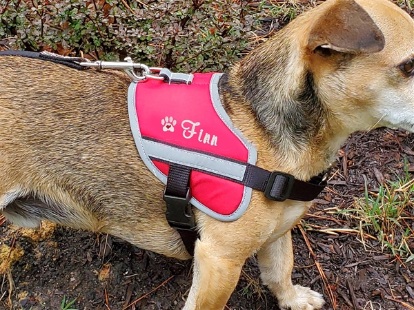 Red Custom Dog Harness